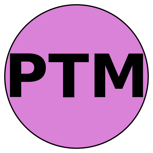 Prime Travel Masters